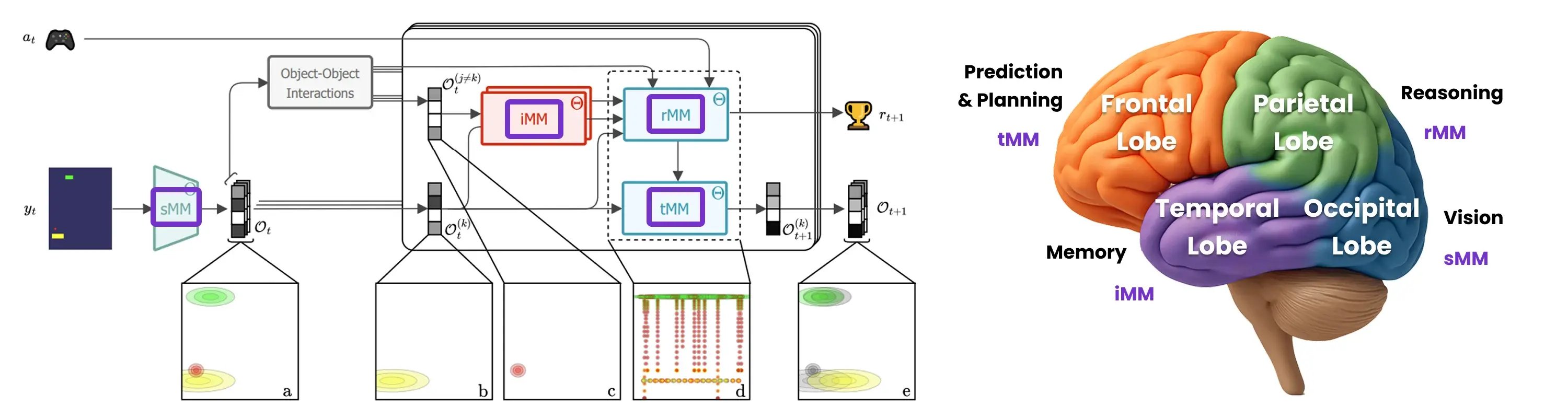 AXIOM Brain Functions