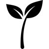 noun-sprout-1585986