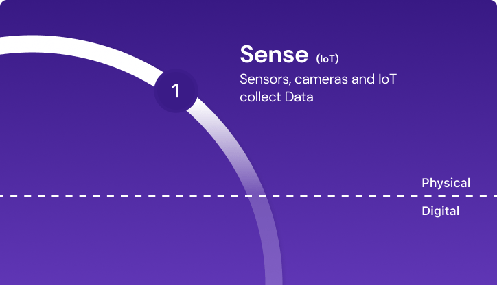 Sense