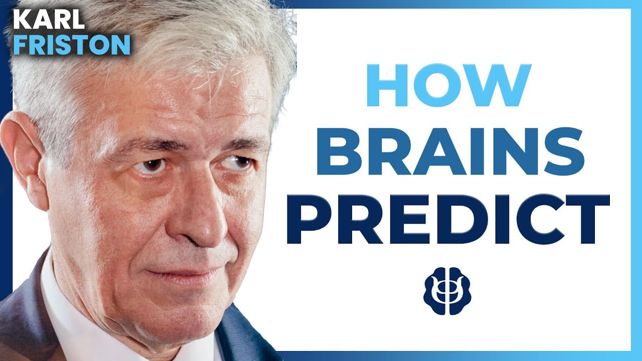 Karl Friston How the Brain Predicts